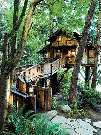 I dream of a tree house like this